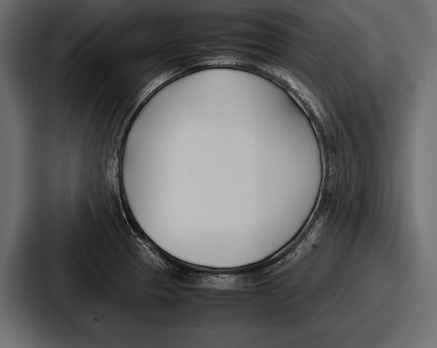 X0000086721329200705111547