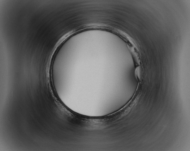 X0000086721330200705111547