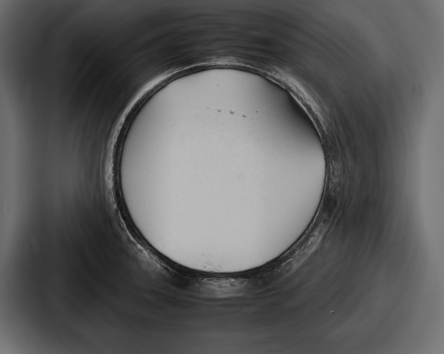 X0000086721331200705111547