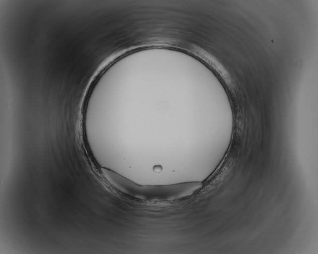 X0000086721332200705111547