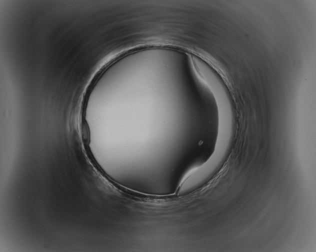 X0000086721334200705111547