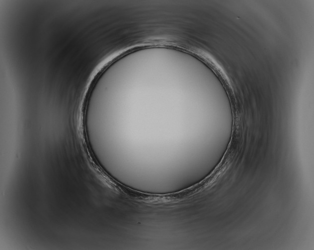 X0000086721336200705111547