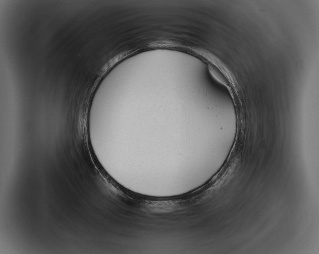 X0000086721337200705111547