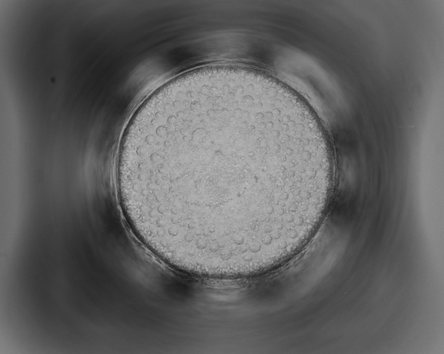 X0000086721338200705111547