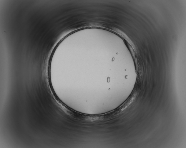 X0000086721339200705111547