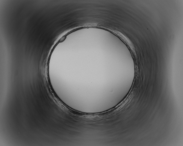 X0000086721340200705111547