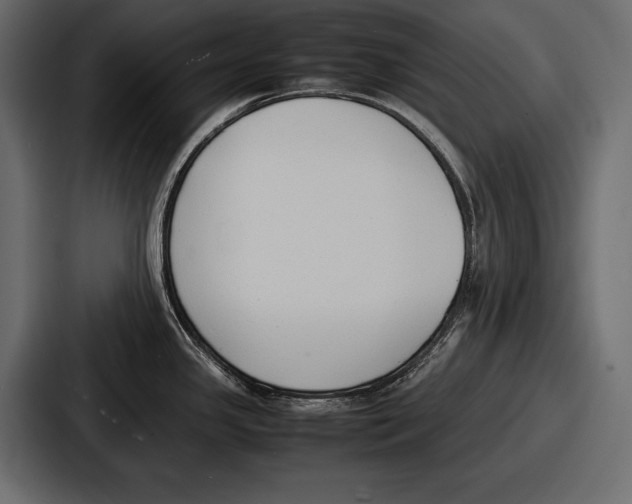 X0000086721341200705111547