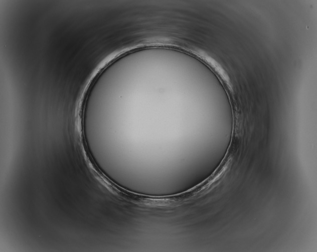 X0000086721342200705111547