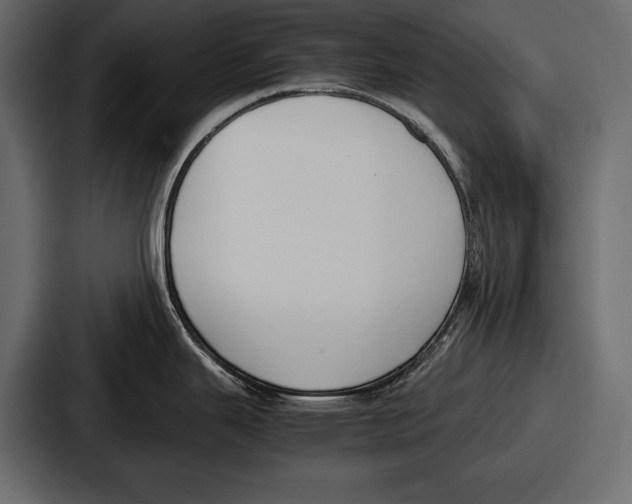 X0000086721343200705111547