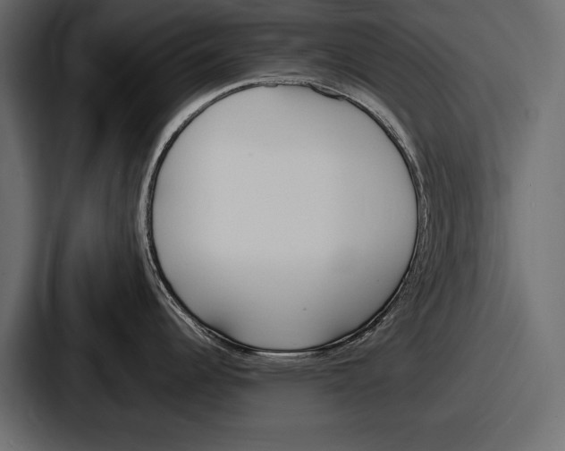 X0000086721344200705111547