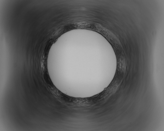 X0000086721346200705111547