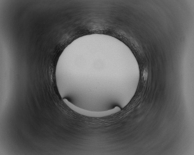 X0000086721348200705111546