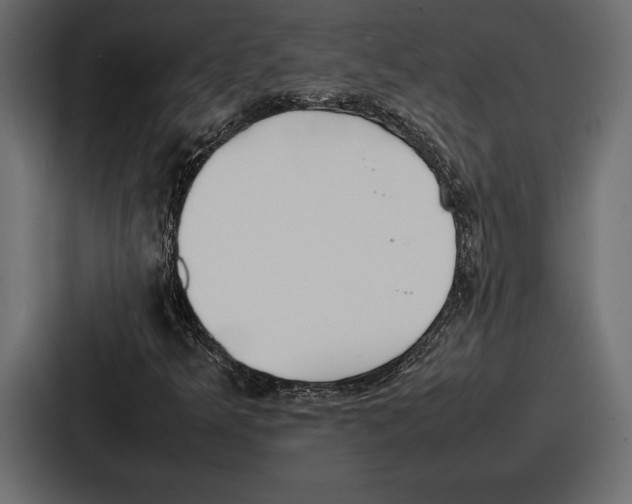 X0000086721349200705111546