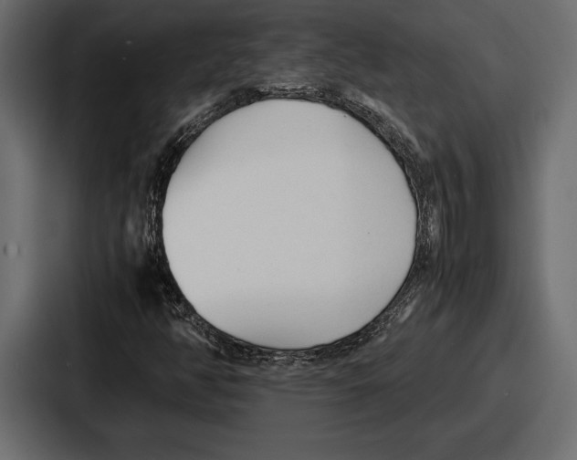 X0000086721350200705111546