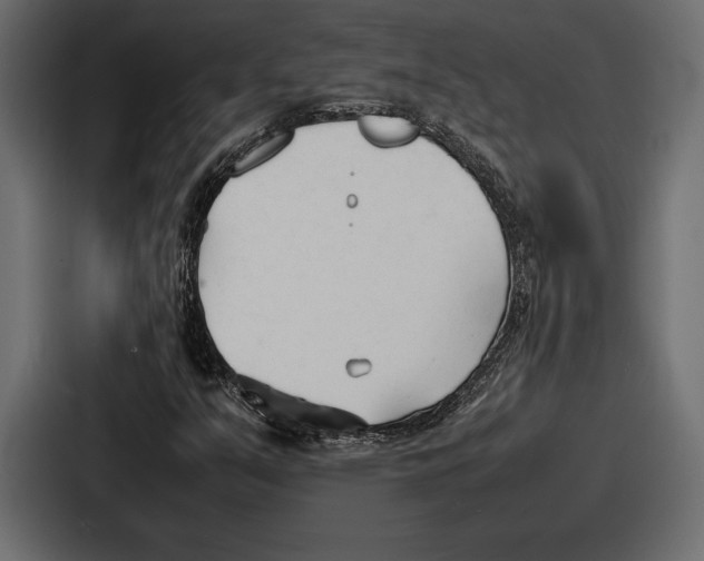 X0000086721351200705111546