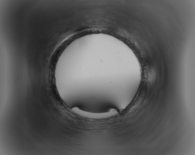 X0000086721352200705111546