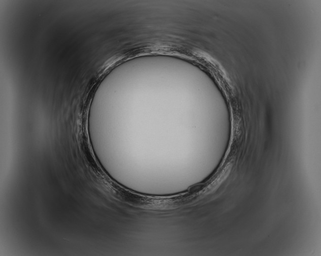 X0000086721353200705111546