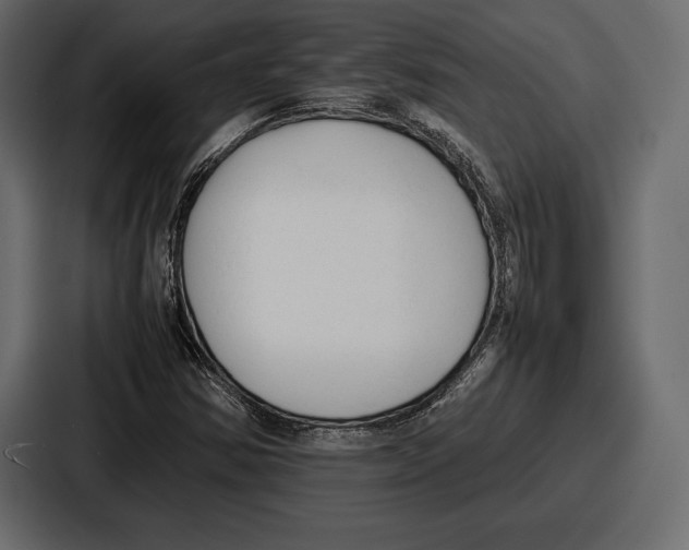 X0000086721354200705111546