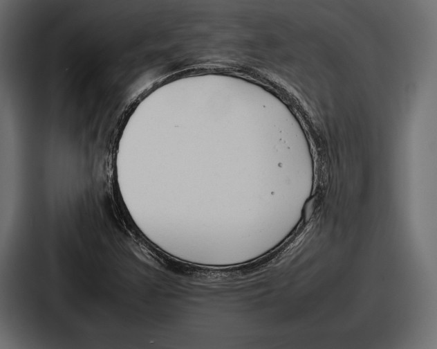 X0000086721355200705111546