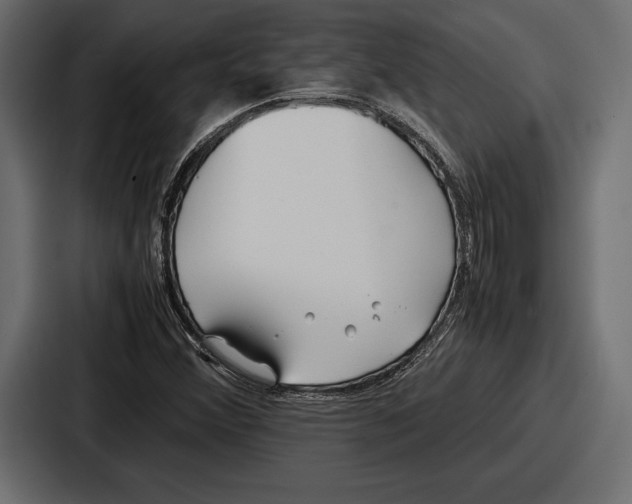 X0000086721356200705111546