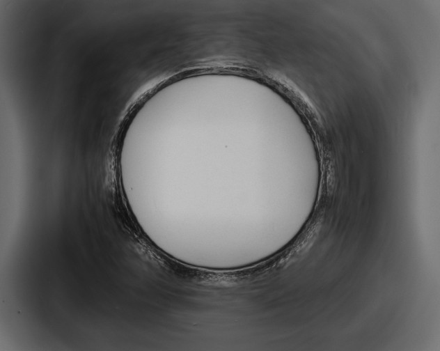 X0000086721358200705111546