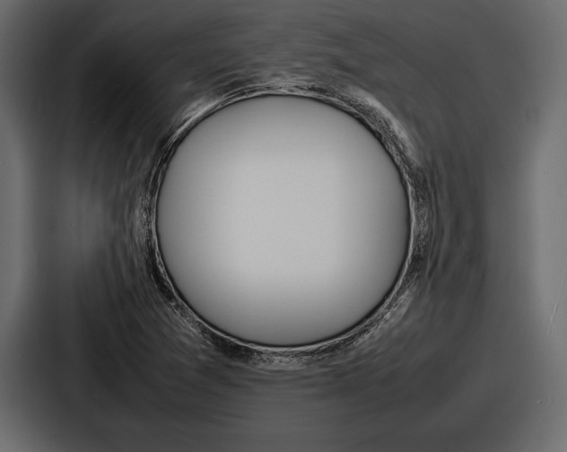 X0000086721361200705111546