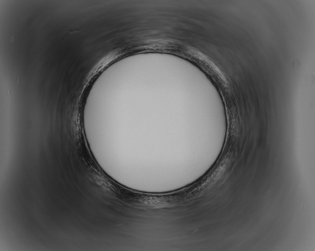 X0000086721362200705111546