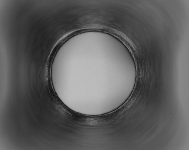 X0000086721364200705111546