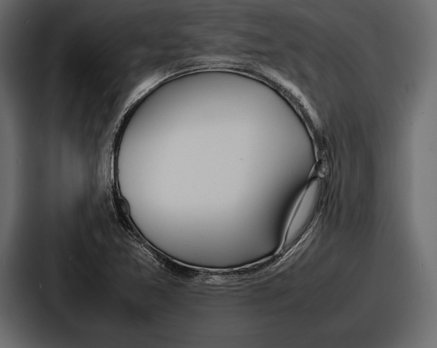 X0000086721365200705111546