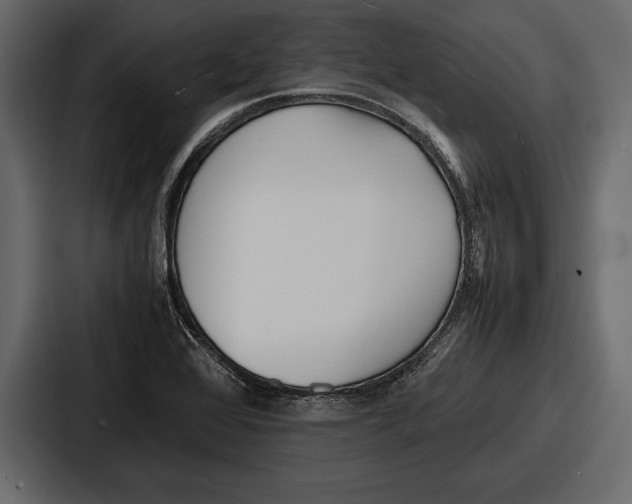 X0000086721368200705111546