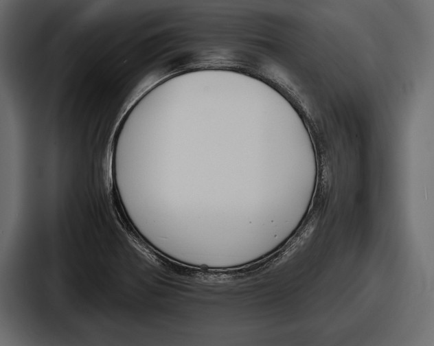 X0000086721370200705111546