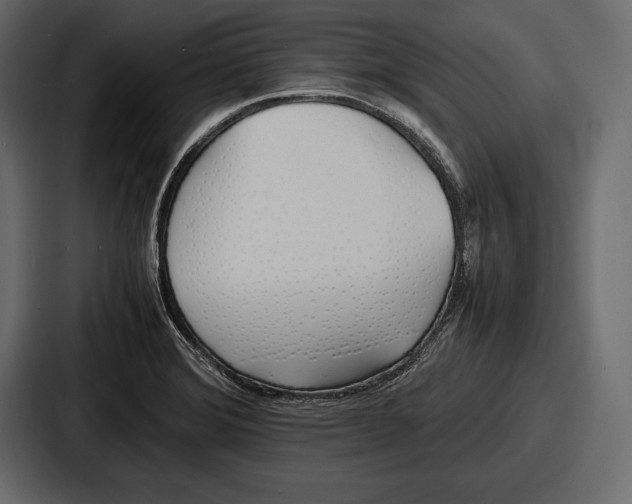 X0000086721372200705111546