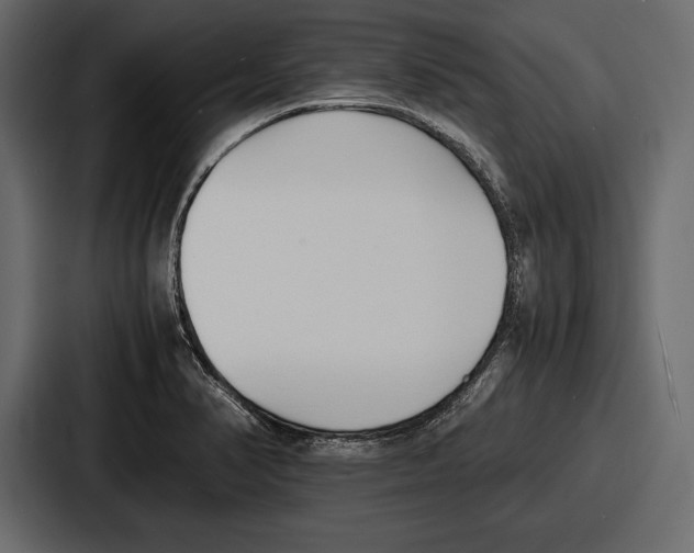 X0000086721374200705111546