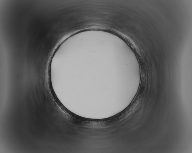 X0000086721375200705111546