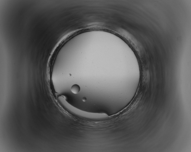 X0000086721376200705111546