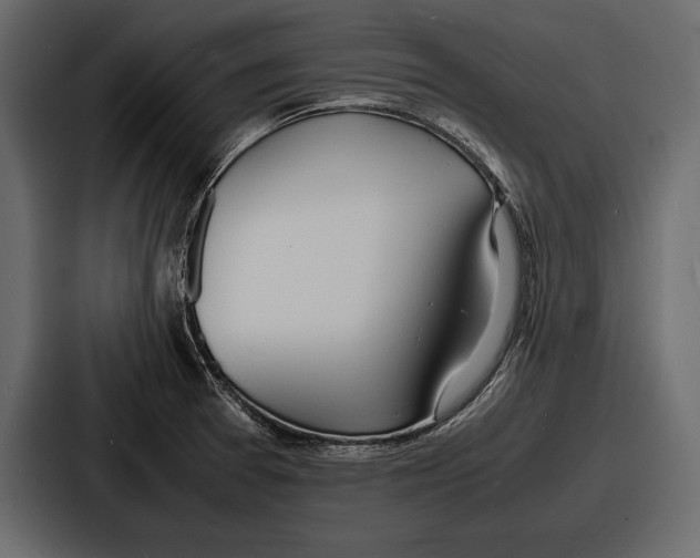 X0000086721377200705111546