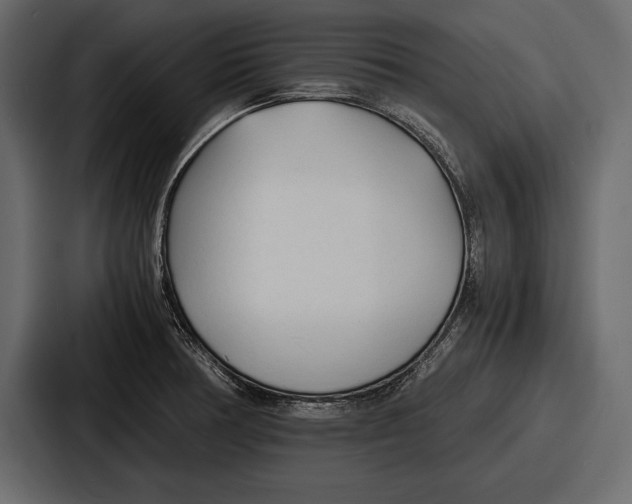 X0000086721378200705111546