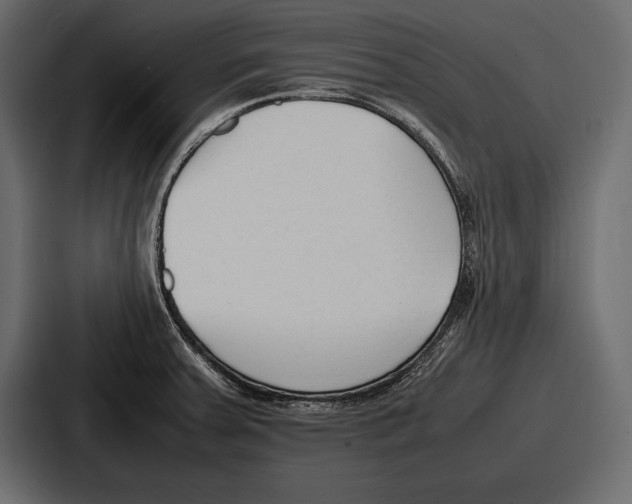 X0000086721379200705111546