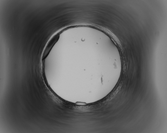 X0000086721380200705111546