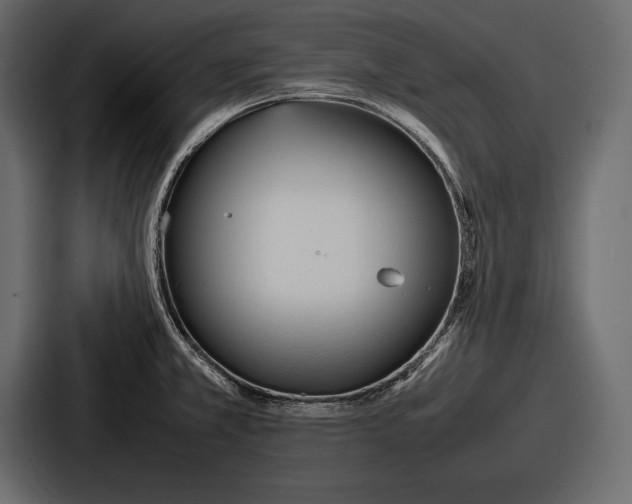 X0000086721381200705111546