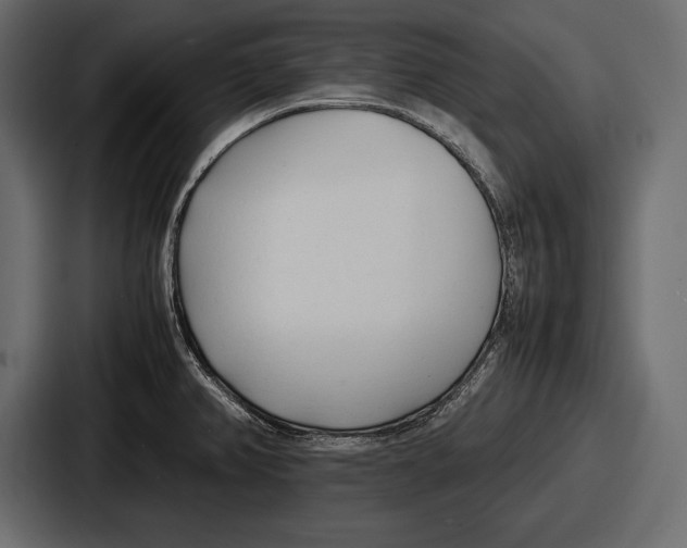 X0000086721382200705111546