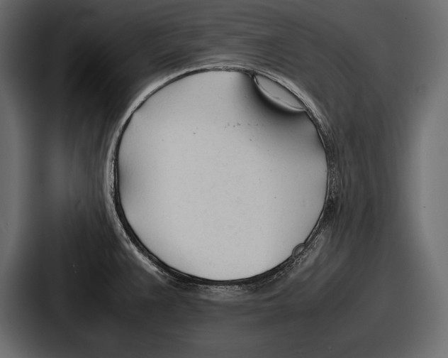 X0000086721383200705111546