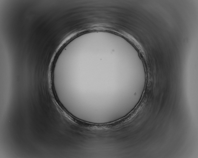 X0000086721384200705111546