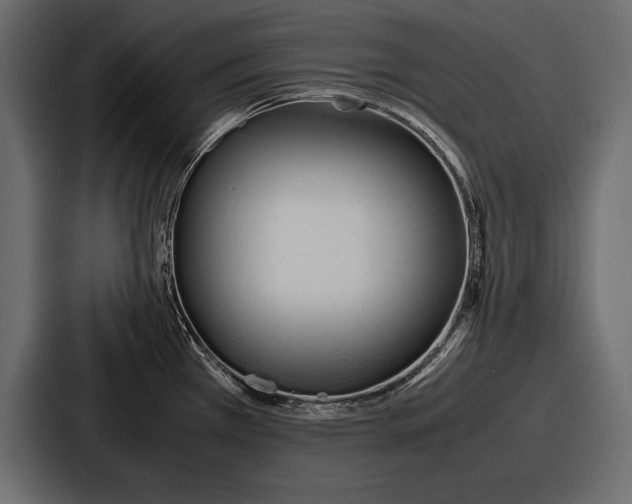 X0000086721385200705111546