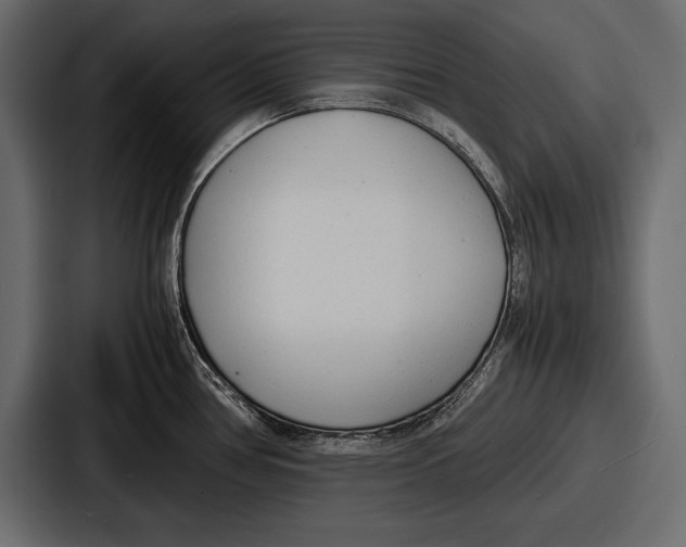 X0000086721386200705111546