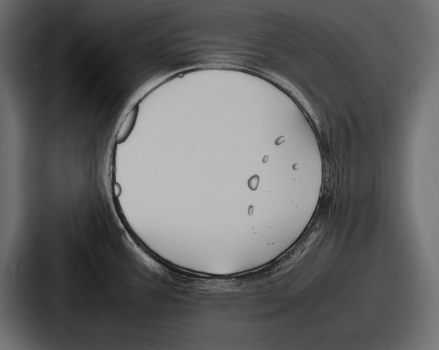 X0000086721387200705111546