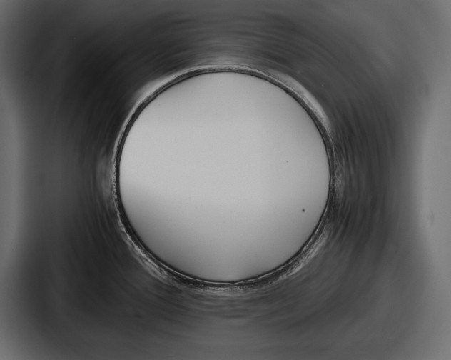 X0000086721388200705111546