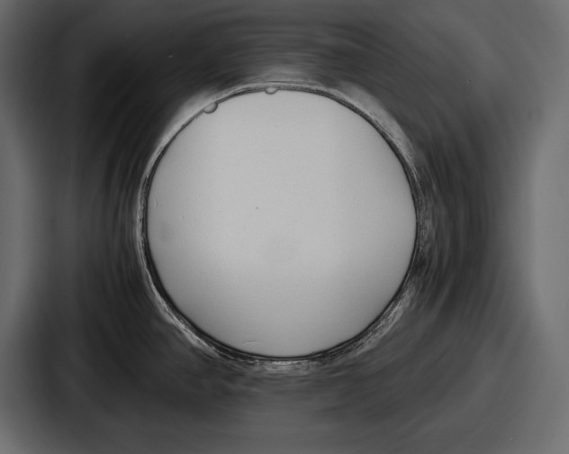 X0000086721390200705111546