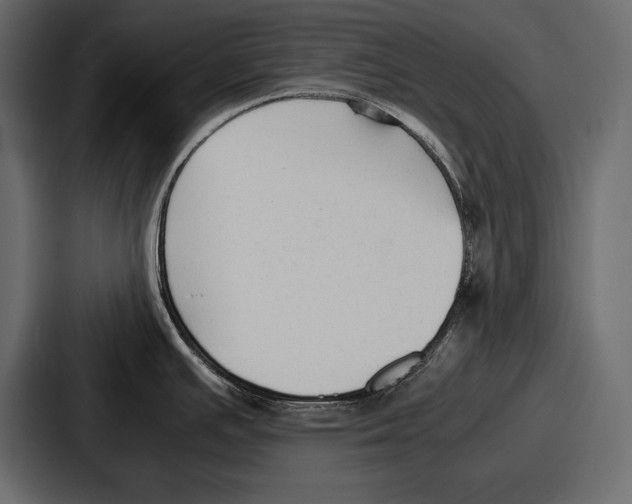 X0000086721391200705111546