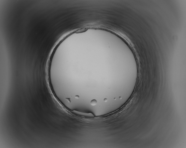 X0000086721392200705111546